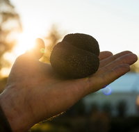 The Truffle Festival - Canberra Region - Accommodation Redcliffe