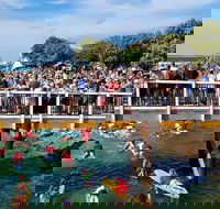 The Crescent Head Santa Surf - Accommodation Redcliffe