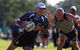 Touch Football Australia National Touch League - thumb 1