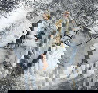 As You Like It - Accommodation Redcliffe