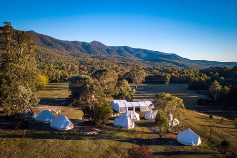 A Wild Night Out - Spring - Accommodation Redcliffe 5