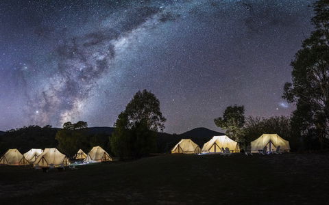A Wild Night Out - Spring - Accommodation Redcliffe 6