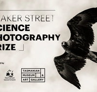 Beaker Street Science Photography Prize - Accommodation Redcliffe
