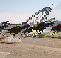 Bedourie Races and Rodeo - Accommodation Redcliffe