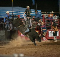 Black Opal Bull and Bronc Ride - Accommodation Redcliffe