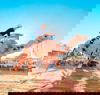 Boulia Camel Races - Accommodation Redcliffe