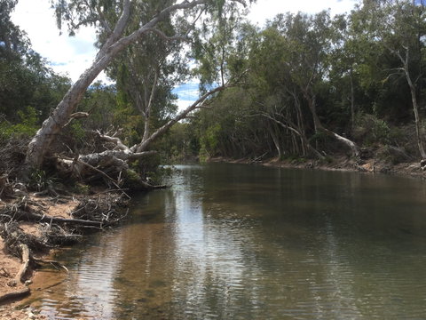 Conservation Volunteers Australia Townsville - Creekwatch - Accommodation Redcliffe 2