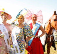 Great Northern Darwin Cup Carnival - Accommodation Redcliffe