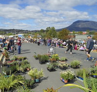 Hobart Showground Sunday Market - Weekly - Accommodation Redcliffe