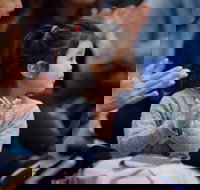 Jams for Juniors 5 - Pictures at an Exhibition - Accommodation Redcliffe