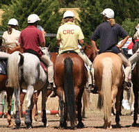 Michelago Pony Club Gymkhana and Sporting Spectacular - Accommodation Redcliffe