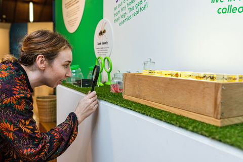 Minibeasts - Accommodation Redcliffe 0