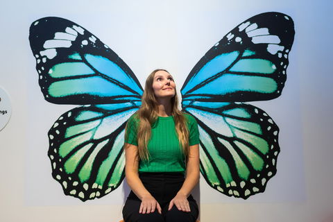 Minibeasts - Accommodation Redcliffe 1