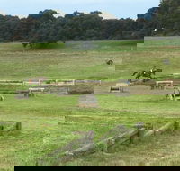 Mount Gambier and District Pony Club Horse Trials 2020 - Accommodation Redcliffe