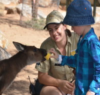 Mums and Cubs And Dads too - Accommodation Redcliffe