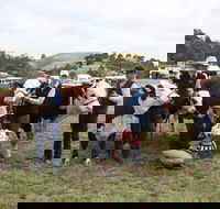 Noorat Show - Accommodation Redcliffe