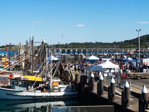 Ocean Harvest Festival - Accommodation Redcliffe 0