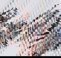 Pulse Perspectives - Virtual Exhibition - Accommodation Redcliffe