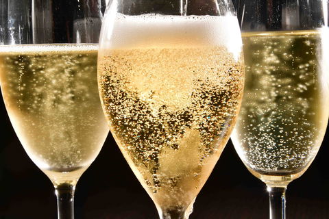 Sparkling Sydney - Accommodation Redcliffe 2