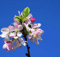Spring time at Hunter Valley Gardens - Accommodation Redcliffe