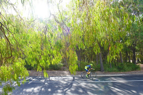 SunSmart FunMan Triathlon - Accommodation Redcliffe 0