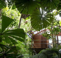 Daintree Wilderness Lodge