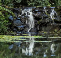 Kondalilla Eco Resort - Accommodation Redcliffe