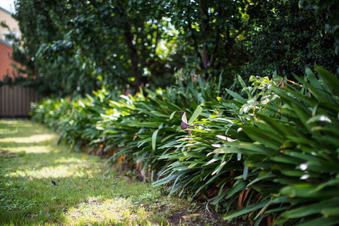 Merivale Motel - Accommodation Redcliffe 7