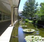 ANU University House Hotel - Accommodation Redcliffe