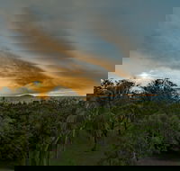 Ocean International - Accommodation Redcliffe
