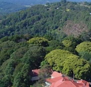 Mayfield on Montville - Accommodation Redcliffe