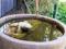 Hope Cottage Country Retreat - Accommodation Redcliffe 4