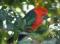 Hope Cottage Country Retreat - Accommodation Redcliffe 2