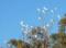 Hope Cottage Country Retreat - Accommodation Redcliffe 1
