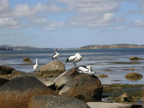 Yelki By The Sea - Accommodation Redcliffe 5