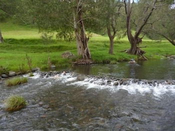 Christmas Creek Cafe & Cabins - Accommodation Redcliffe 4
