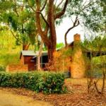 Cedarwood Cottage - Accommodation Redcliffe 0