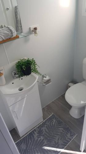 Ceespray On Owen - Accommodation Redcliffe 4