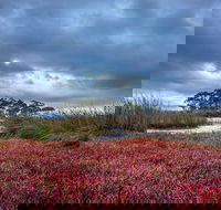 Saintys Creek Cottage - Accommodation Redcliffe