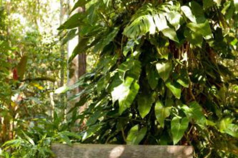 Taman Sari Private Pavilions - Accommodation Redcliffe 4