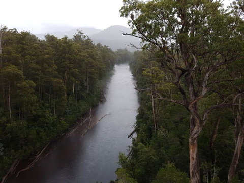 Tahune Air Walk Lodge - Accommodation Redcliffe 2