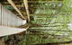 Tahune Air Walk Lodge - thumb 4