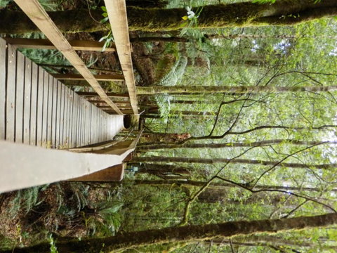 Tahune Air Walk Lodge - Accommodation Redcliffe 4