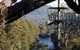 Tahune Air Walk Lodge - thumb 0