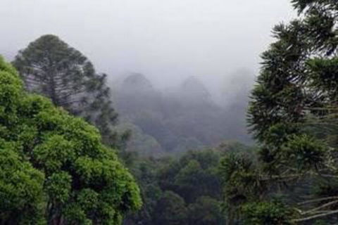 Bunya Mountains Accommodation Centre - Accommodation Redcliffe 3