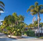 Mollymook Caravan Park