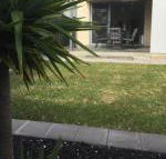 Ella House Adelaide - Accommodation Redcliffe