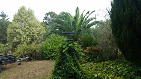 Cottage By The Bay - Accommodation Redcliffe 2