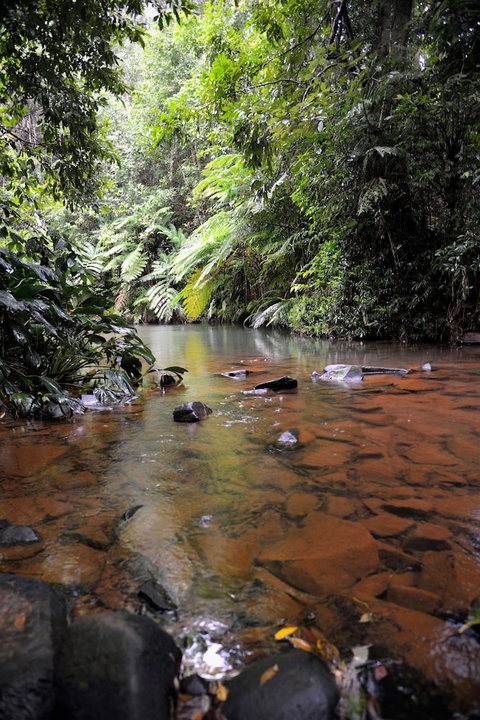 Mena Creek Flower House - Accommodation Redcliffe 2