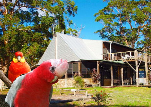 Wolfes Landing Eco Retreat - Accommodation Redcliffe 2